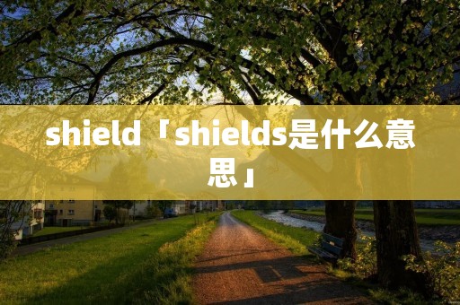 shield「shields是什么意思」