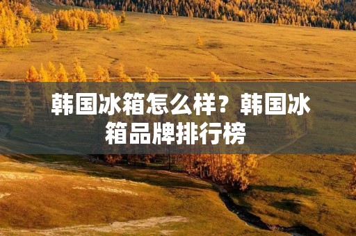  韩国冰箱怎么样？韩国冰箱品牌排行榜 