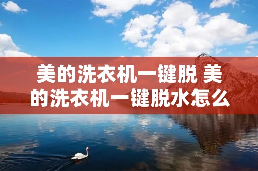 美的洗衣机一键脱 美的洗衣机一键脱水怎么用