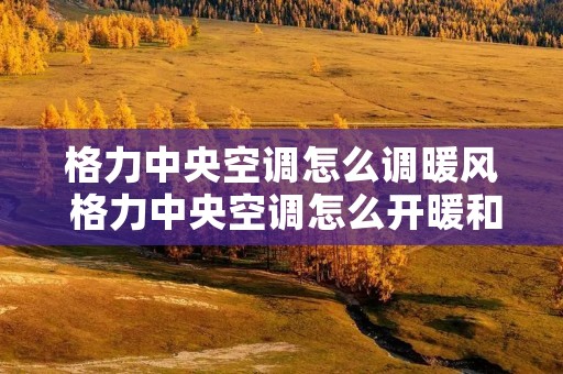 格力中央空调怎么调暖风 格力中央空调怎么开暖和