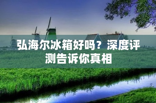 弘海尔冰箱好吗？深度评测告诉你真相