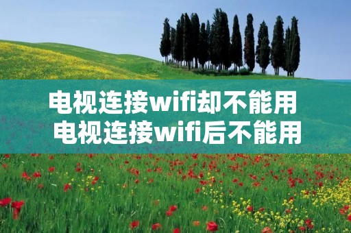 电视连接wifi却不能用 电视连接wifi后不能用