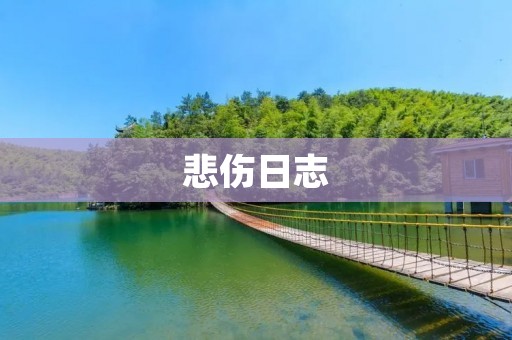 悲伤日志:记录内心的哀伤与痛苦 悲伤日志:记录内心的哀伤与痛苦