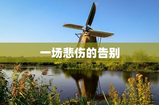 一场悲伤的告别 一场悲伤的告别