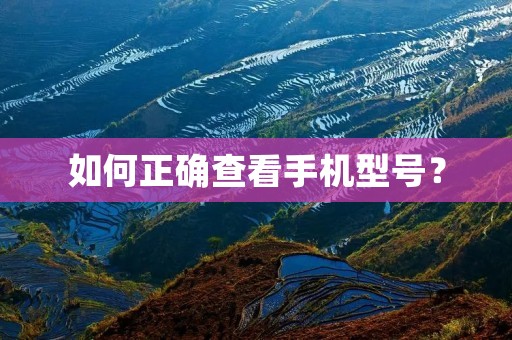 如何正确查看手机型号? 如何正确查看手机型号?