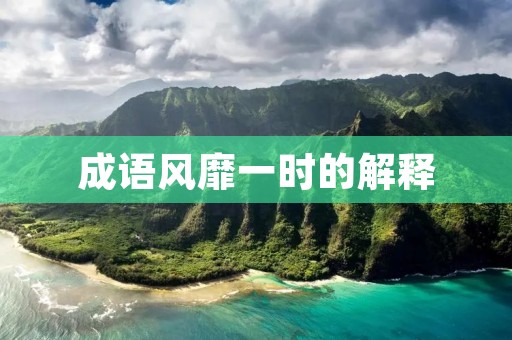 成语风靡一时的解释
