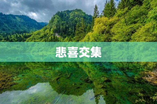 悲喜交集：人生中的转折点