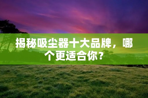 揭秘吸尘器十大品牌,哪个更适合你?