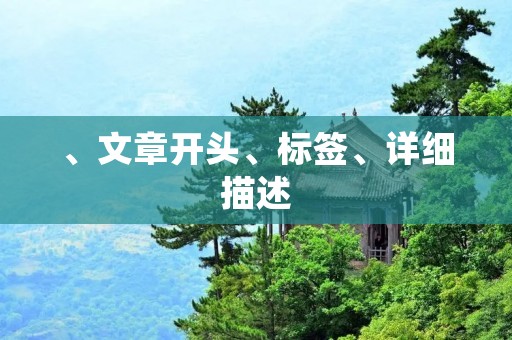 、文章开头、标签、详细描述 、文章开头、标签、详细描述