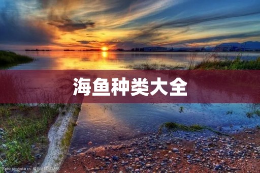 海鱼种类大全