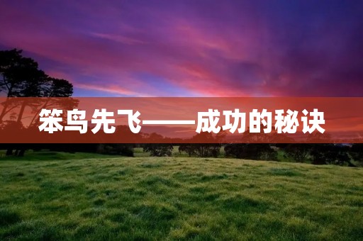 笨鸟先飞——成功的秘诀