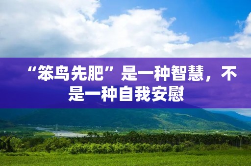 “笨鸟先肥”是一种智慧，不是一种自我安慰