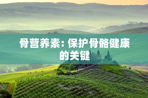 骨营养素: 保护骨骼健康的关键 骨营养素: 保护骨骼健康的关键