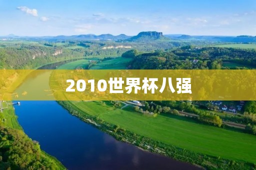 2010世界杯八强：谁能成为最终的胜者？