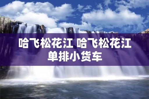 哈飞松花江 哈飞松花江单排小货车