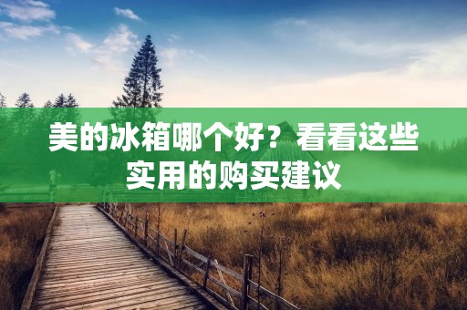 美的冰箱哪个好？看看这些实用的购买建议