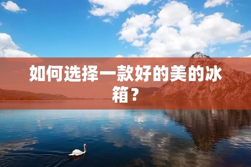 如何选择一款好的美的冰箱? 如何选择一款好的美的冰箱?