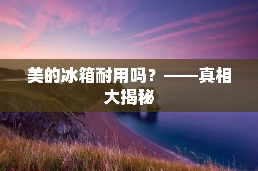 美的冰箱耐用吗？——真相大揭秘