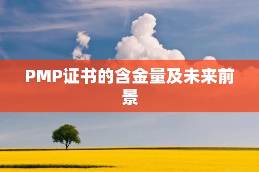 PMP证书的含金量及未来前景