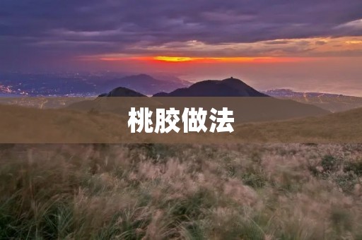 桃胶做法:手把手教你制作美味桃胶 桃胶做法:手把手教你制作美味桃胶