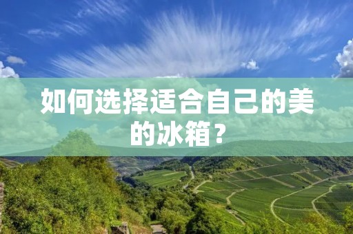 如何选择适合自己的美的冰箱? 如何选择适合自己的美的冰箱?
