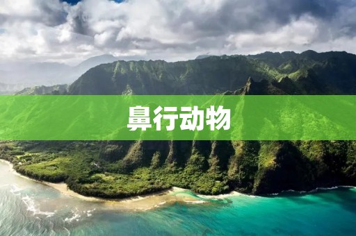 鼻行动物：神奇的嗅觉天赋