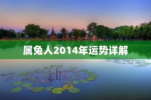 属兔人2014年运势详解