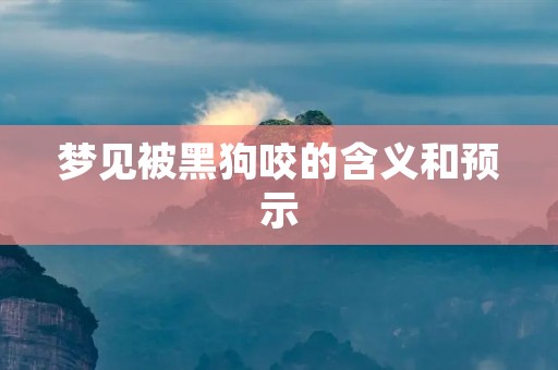 梦见被黑狗咬的含义和预示
