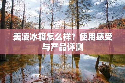 美凌冰箱怎么样？使用感受与产品评测