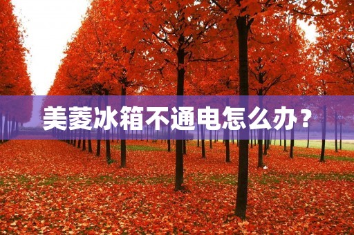 美菱冰箱不通电怎么办？