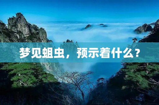 梦见蛆虫，预示着什么？
