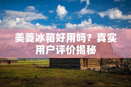 美菱冰箱好用吗？真实用户评价揭秘