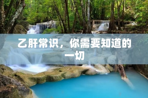 乙肝常识,你需要知道的一切 乙肝常识,你需要知道的一切