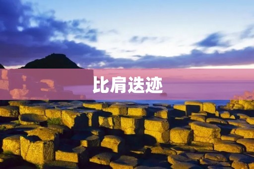 比肩迭迹：走进互联网时代的创业路