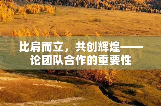 比肩而立,共创辉煌——论团队合作的重要性