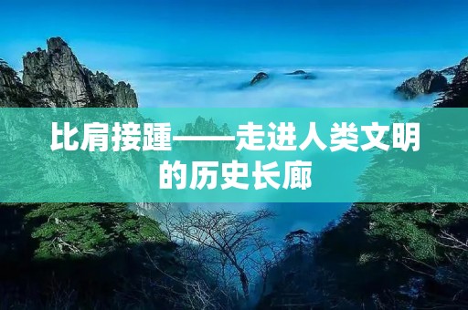 比肩接踵——走进人类文明的历史长廊