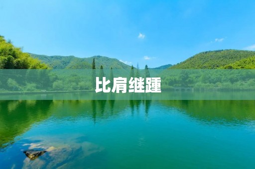 比肩继踵:团队合作的力量 比肩继踵:团队合作的力量