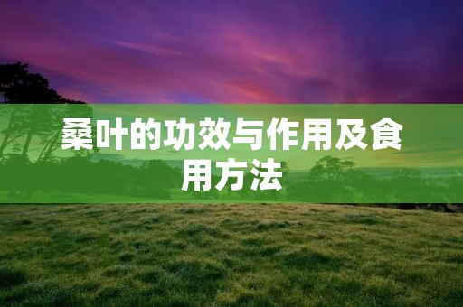 桑叶的功效与作用及食用方法