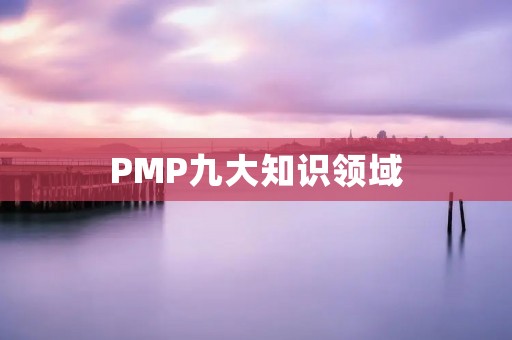 PMP九大知识领域：项目管理知识体系的重要组成部分