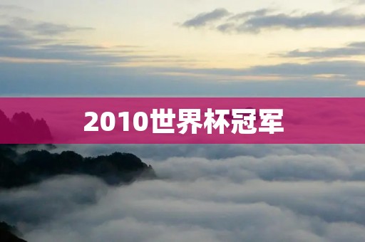 2010世界杯冠军：西班牙的足球盛宴