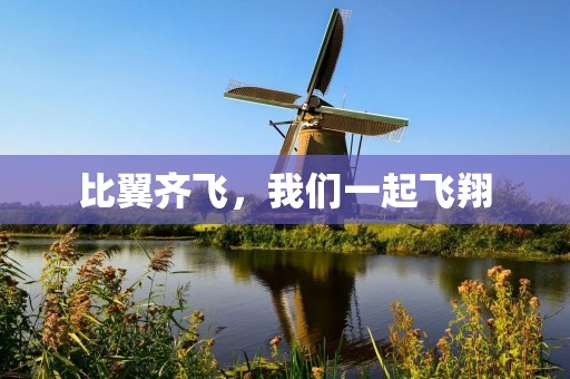 比翼齐飞，我们一起飞翔