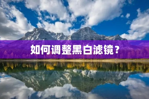 如何调整黑白滤镜? 如何调整黑白滤镜?