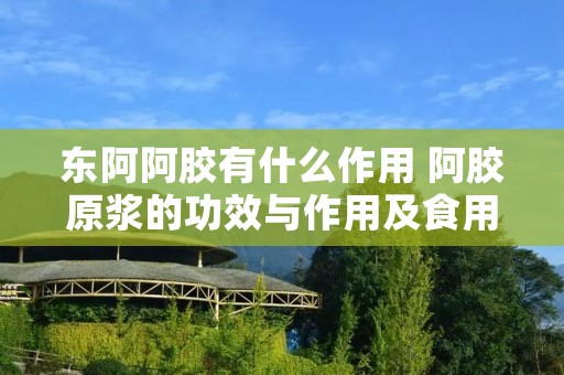 东阿阿胶有什么作用 阿胶原浆的功效与作用及食用方法