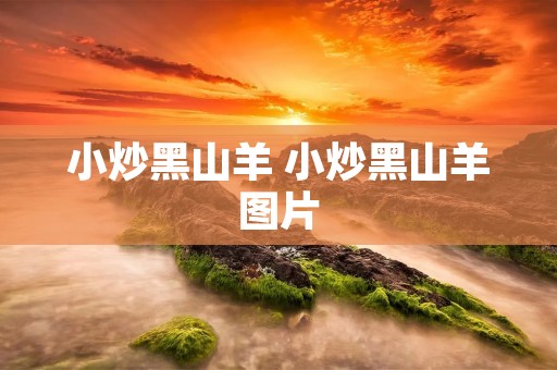小炒黑山羊 小炒黑山羊图片