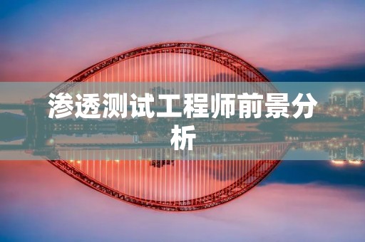 渗透测试工程师前景分析：技能需求、薪资水平和职业发展