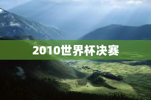 2010世界杯决赛：西班牙夺冠