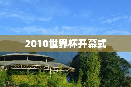 2010世界杯开幕式：南非之夜