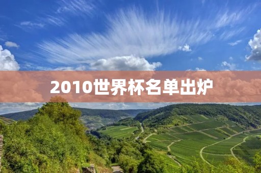 2010世界杯名单出炉:中国队无缘,巴西、阿根廷等豪门球队亮相 2010世界杯名单出炉:中国队无缘,巴西、阿根廷等豪门球队亮相