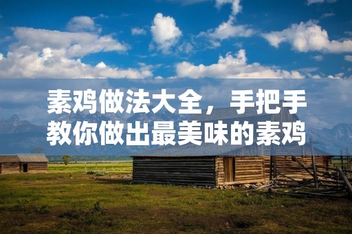 素鸡做法大全，手把手教你做出最美味的素鸡
