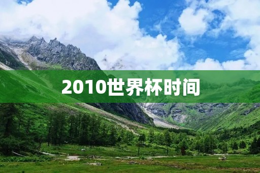 2010世界杯时间：南非世界杯的历史时刻